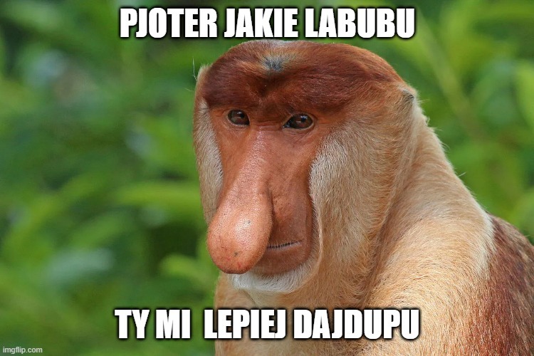 Dzieło sztuki #14679