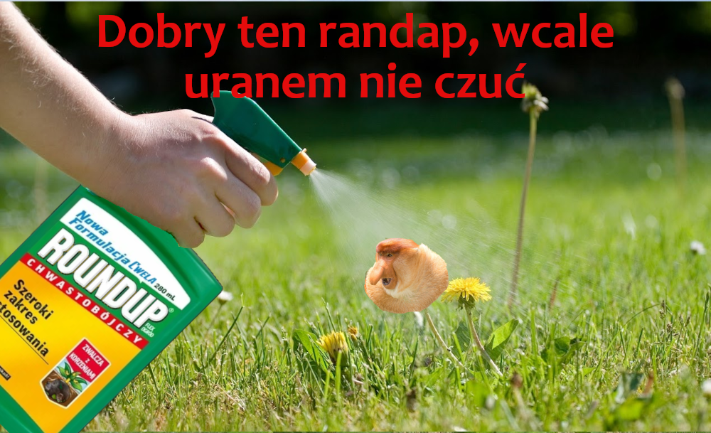 Dzieło sztuki #14723