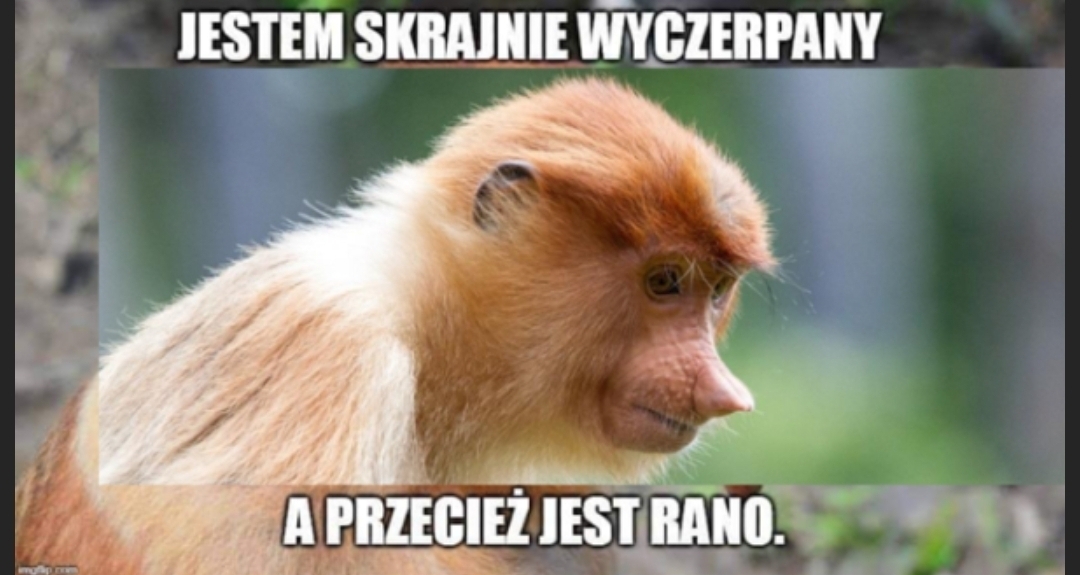 Dzieło sztuki #14724