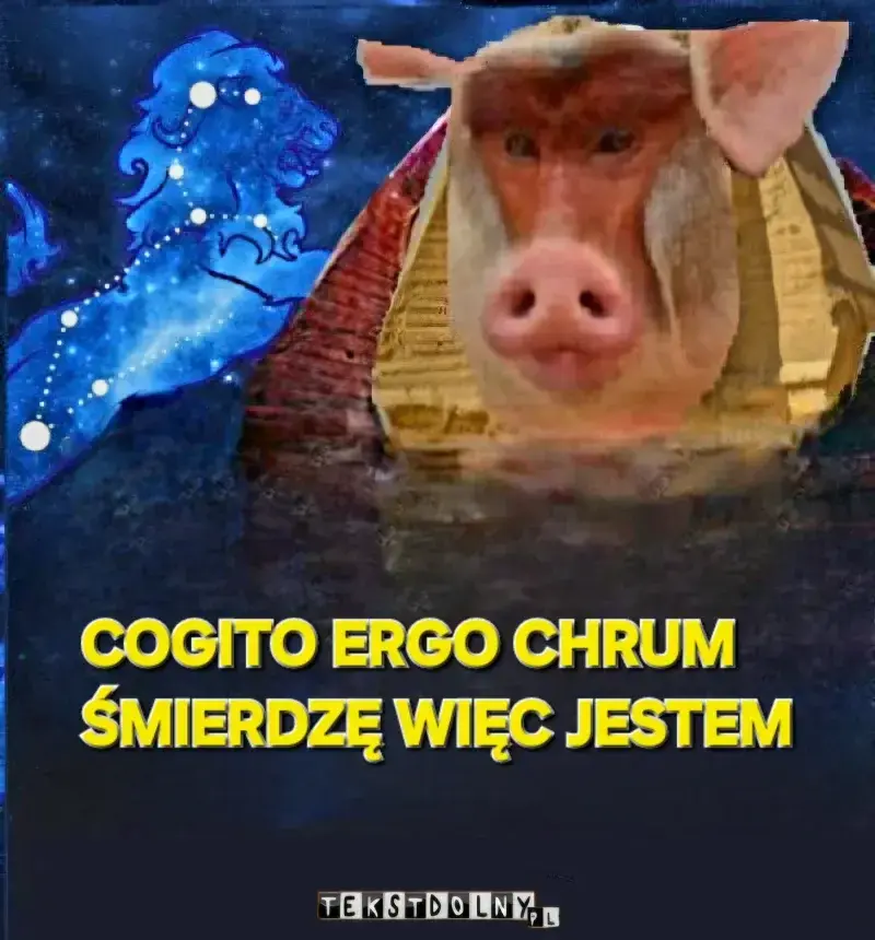 Dzieło sztuki #14725