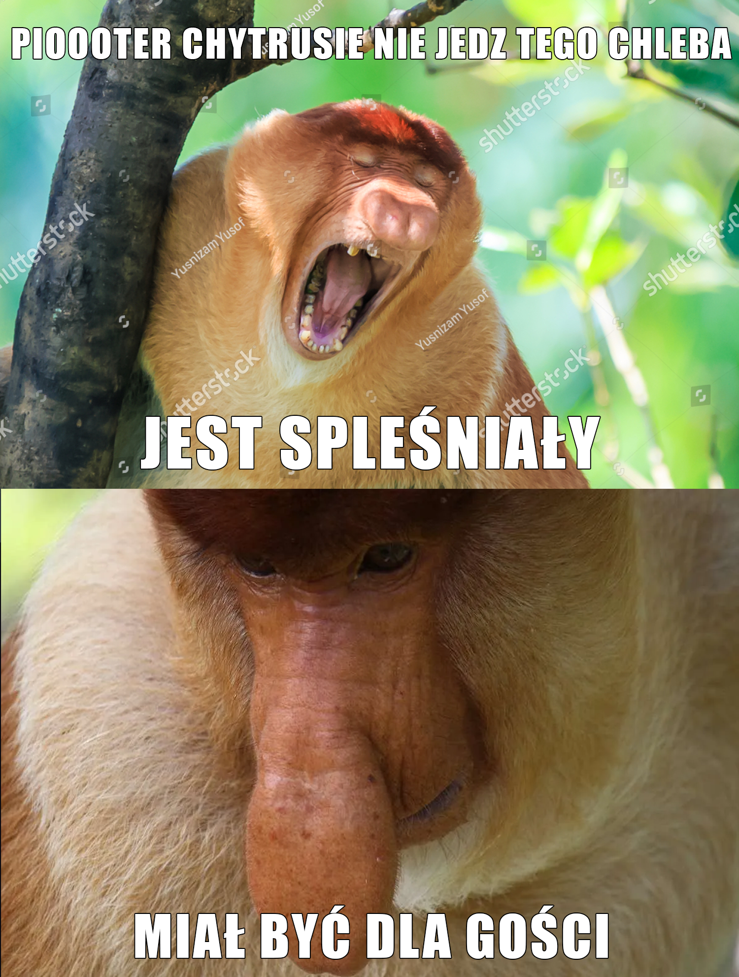 Dzieło sztuki #14730