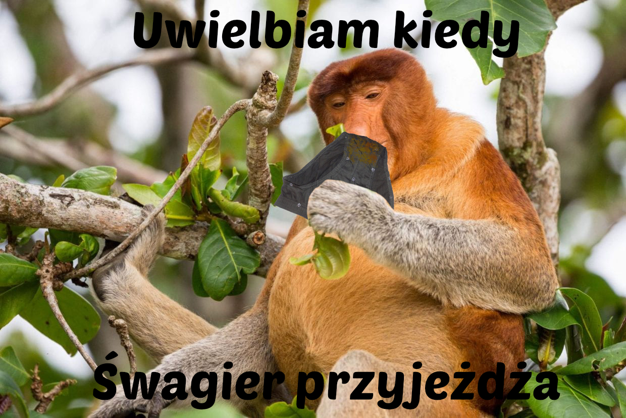 Dzieło sztuki #14731