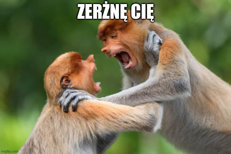 Dzieło sztuki #14742