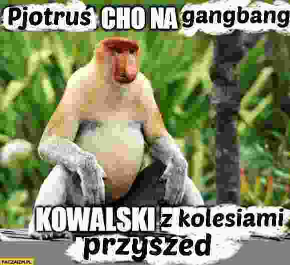 Dzieło sztuki #14743
