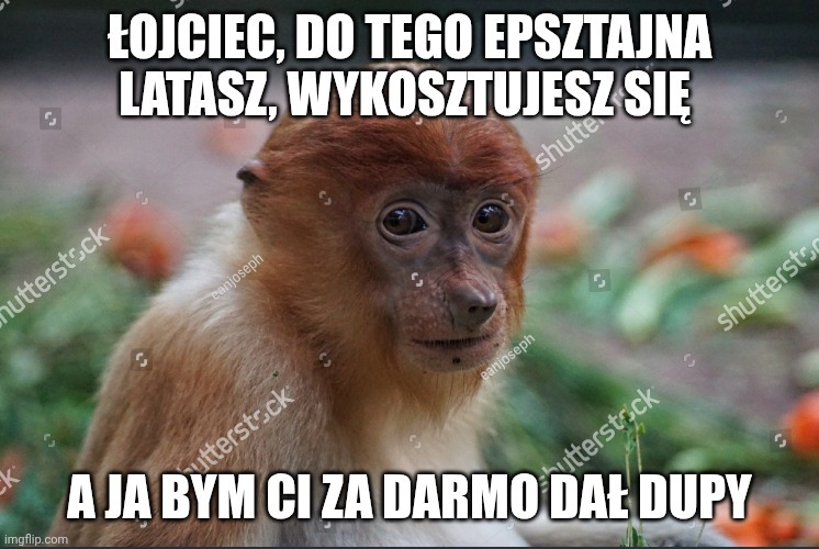 Dzieło sztuki #14774