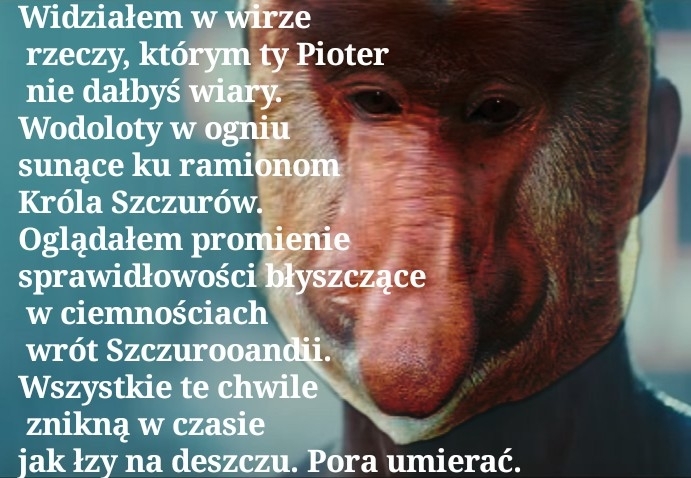 Dzieło sztuki #14775