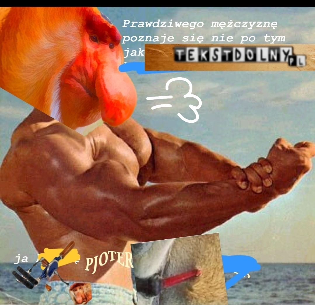Dzieło sztuki #14782