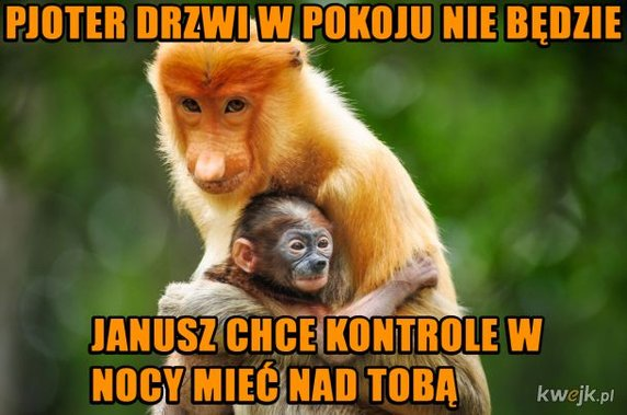 Dzieło sztuki #14786