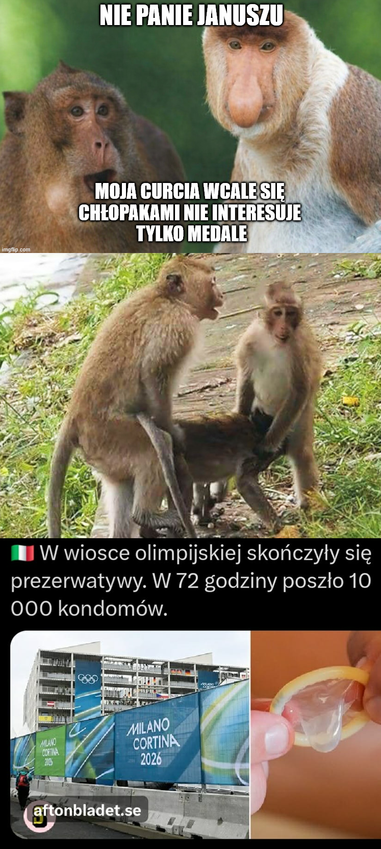 Dzieło sztuki #14797