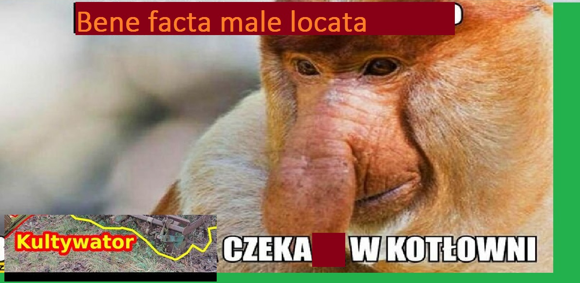 Dzieło sztuki #14820