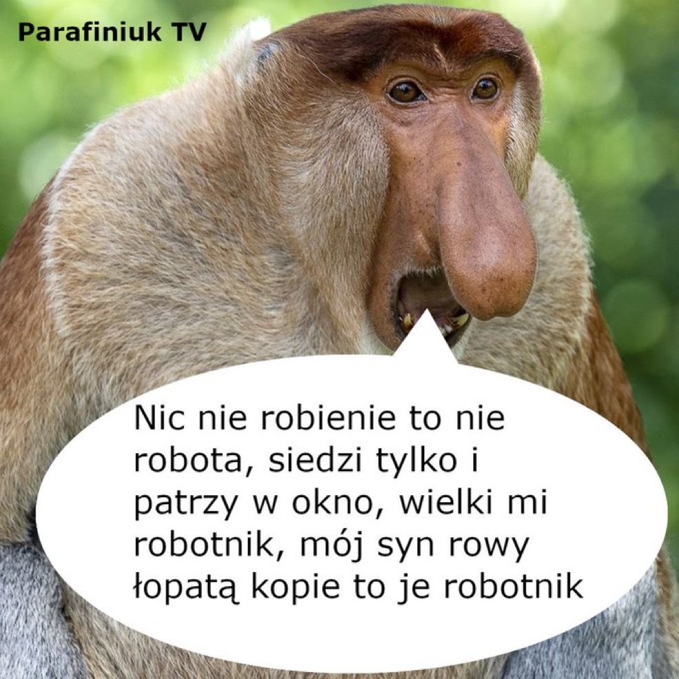 Dzieło sztuki #14851