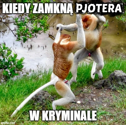 Dzieło sztuki #14855