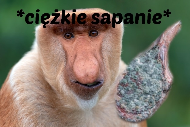 Dzieło sztuki #14860