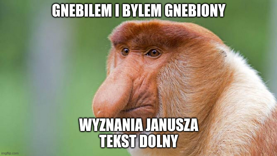 Dzieło sztuki #14863
