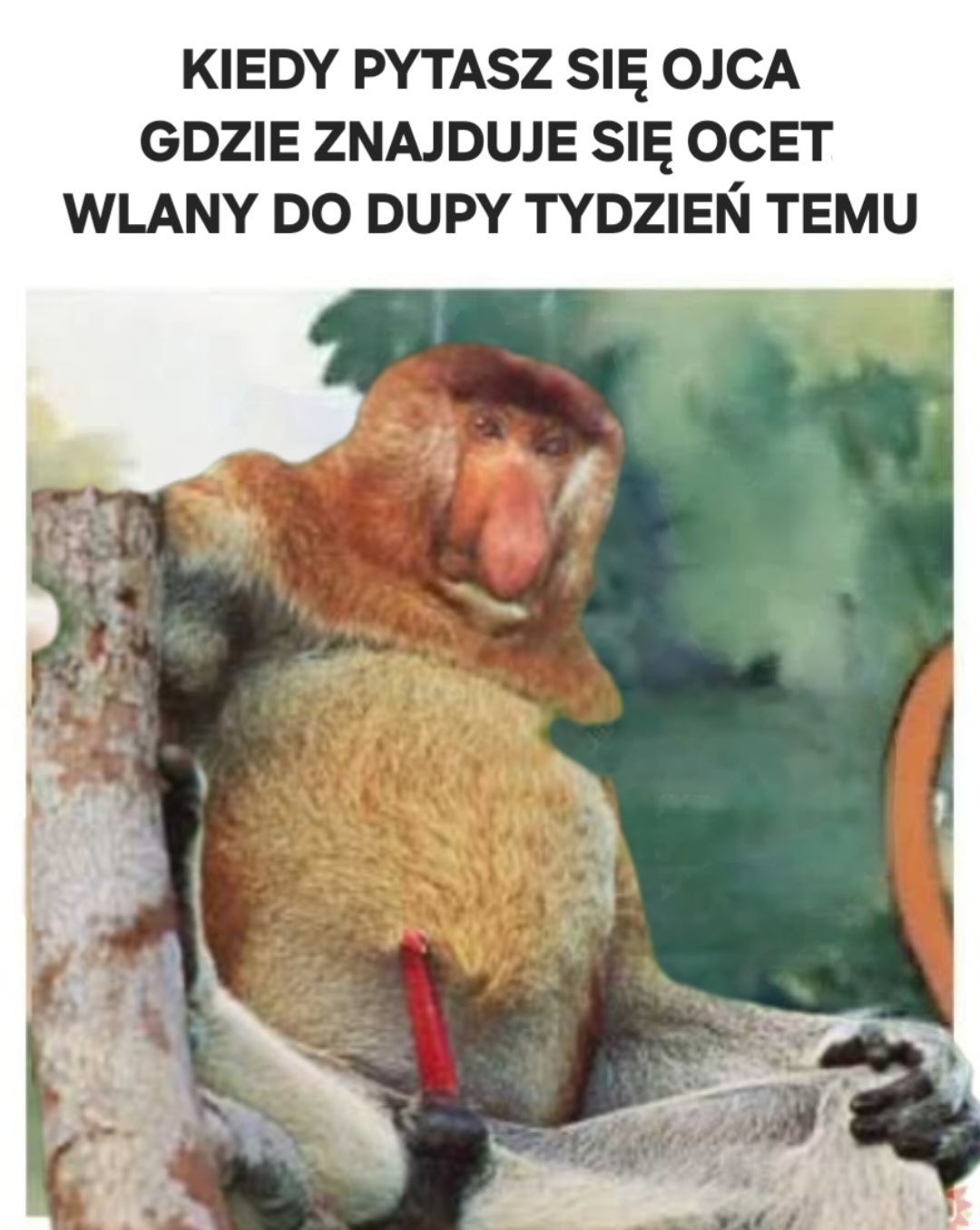 Dzieło sztuki #14865