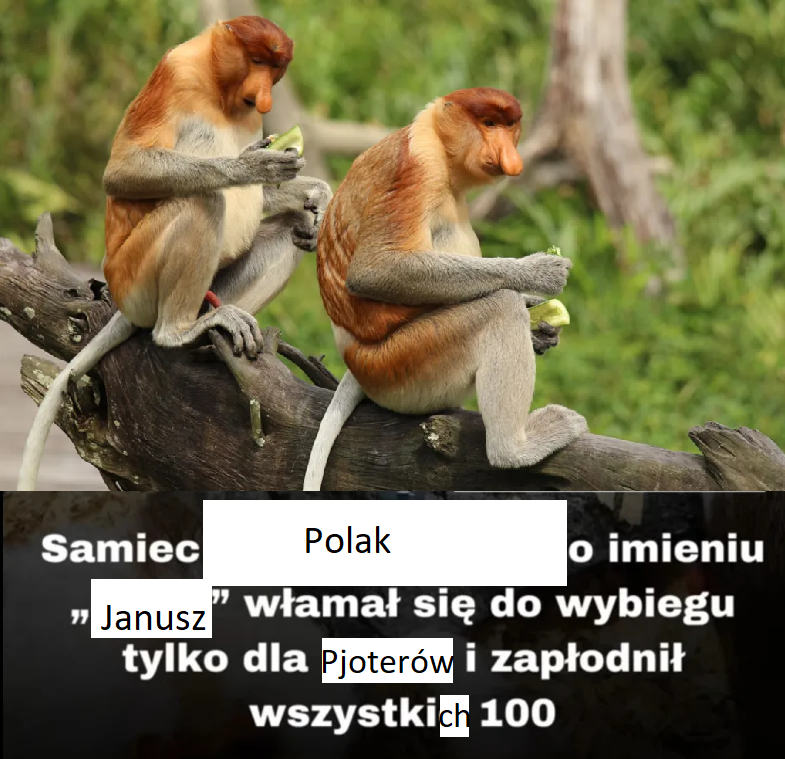 Dzieło sztuki #14866