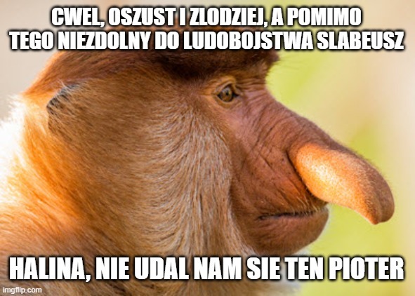 Dzieło sztuki #14867