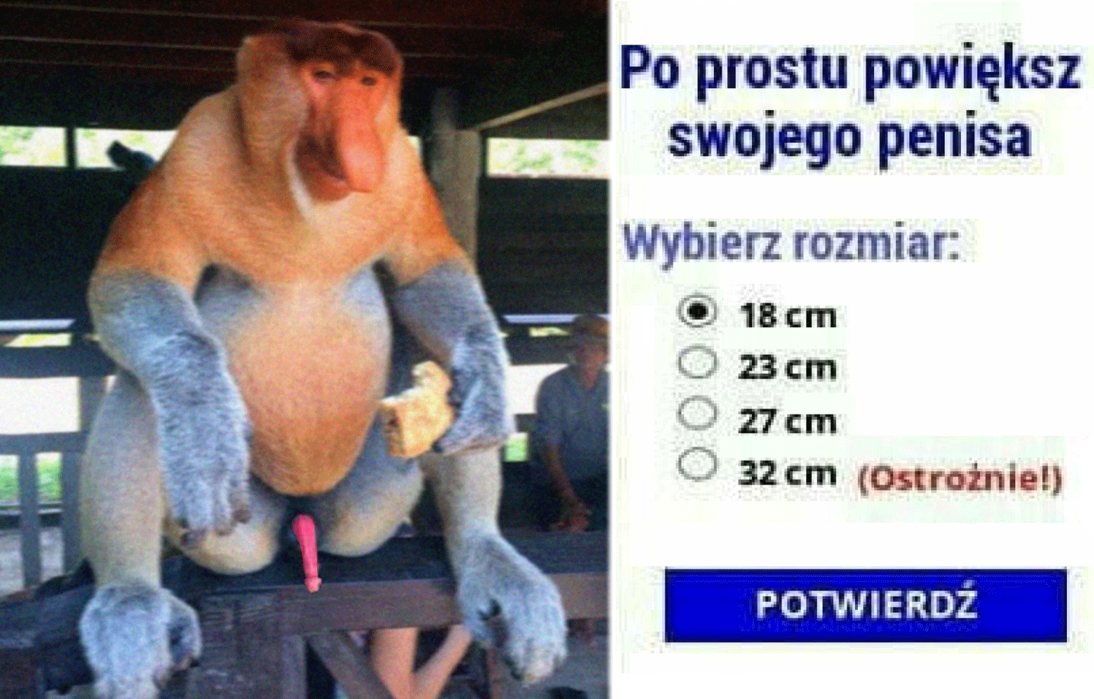 Dzieło sztuki #14873