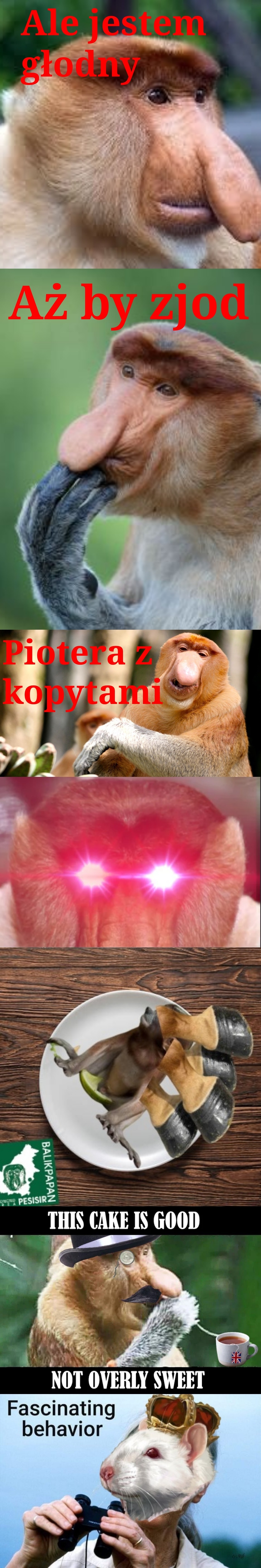 Dzieło sztuki #14889