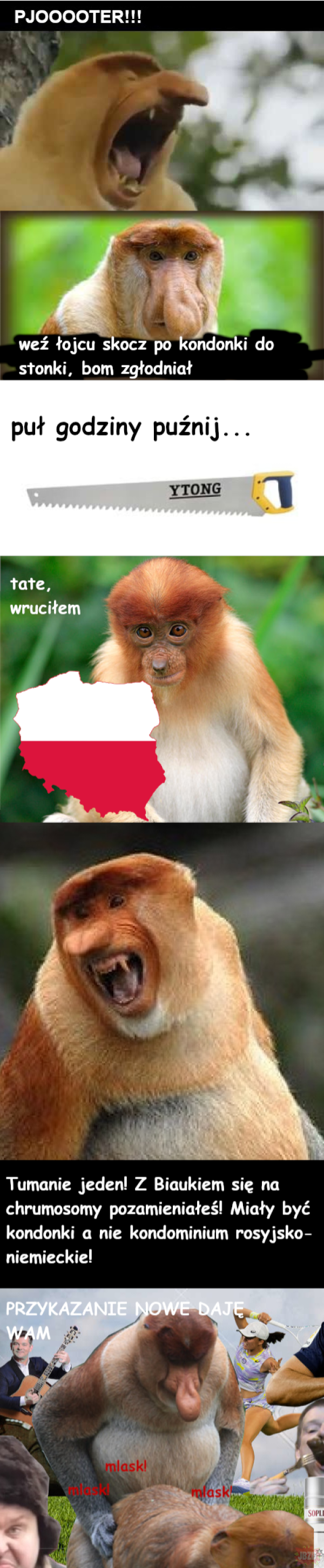 Dzieło sztuki #14903