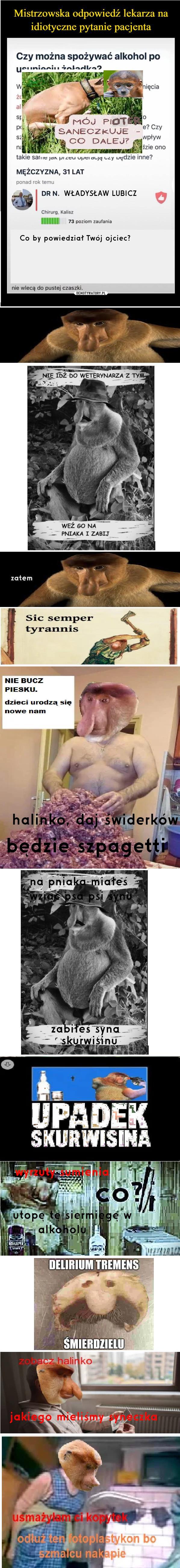 Dzieło sztuki #14908