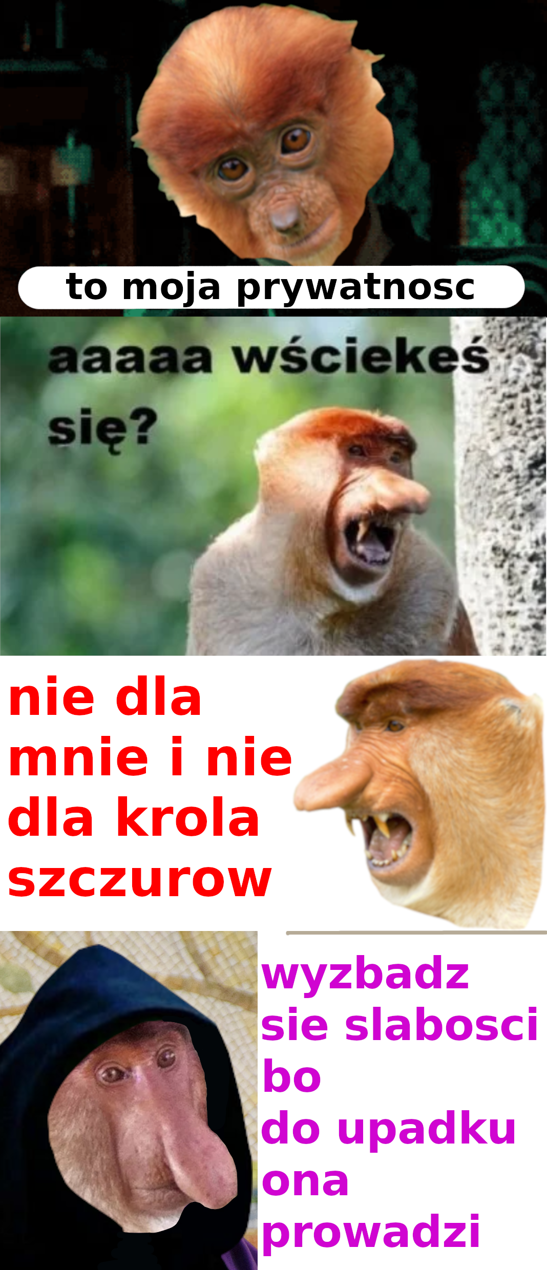 Dzieło sztuki #14911