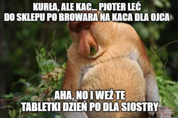 Dzieło sztuki #14915