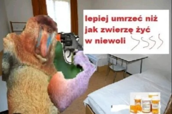 Dzieło sztuki #15005
