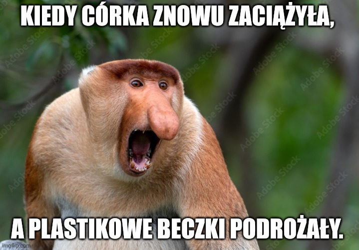 Dzieło sztuki #15011