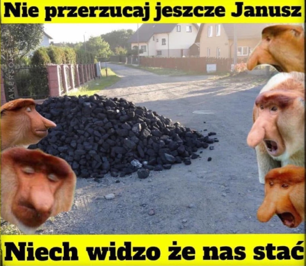 Dzieło sztuki #15019