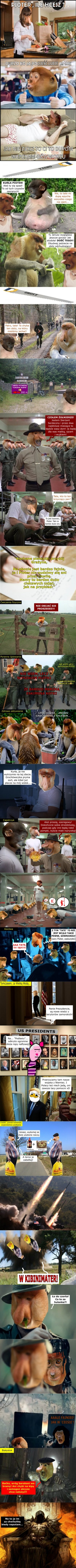 Dzieło sztuki #15022