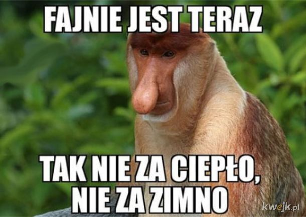Dzieło sztuki #15030
