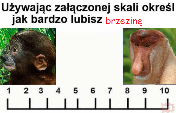 Dzieło sztuki #15033