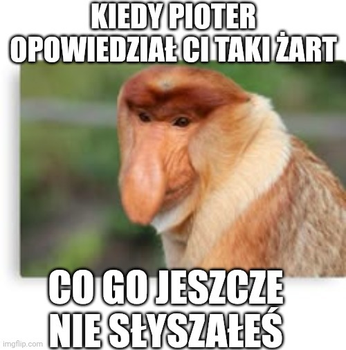 Dzieło sztuki #15042
