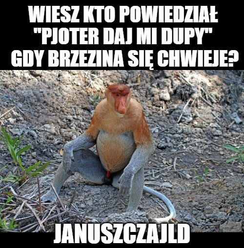Dzieło sztuki #15069