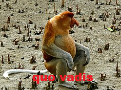 Dzieło sztuki #15079