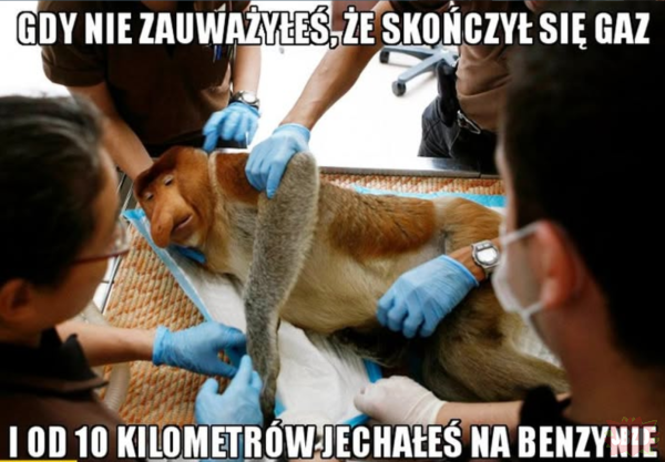 Dzieło sztuki #15127