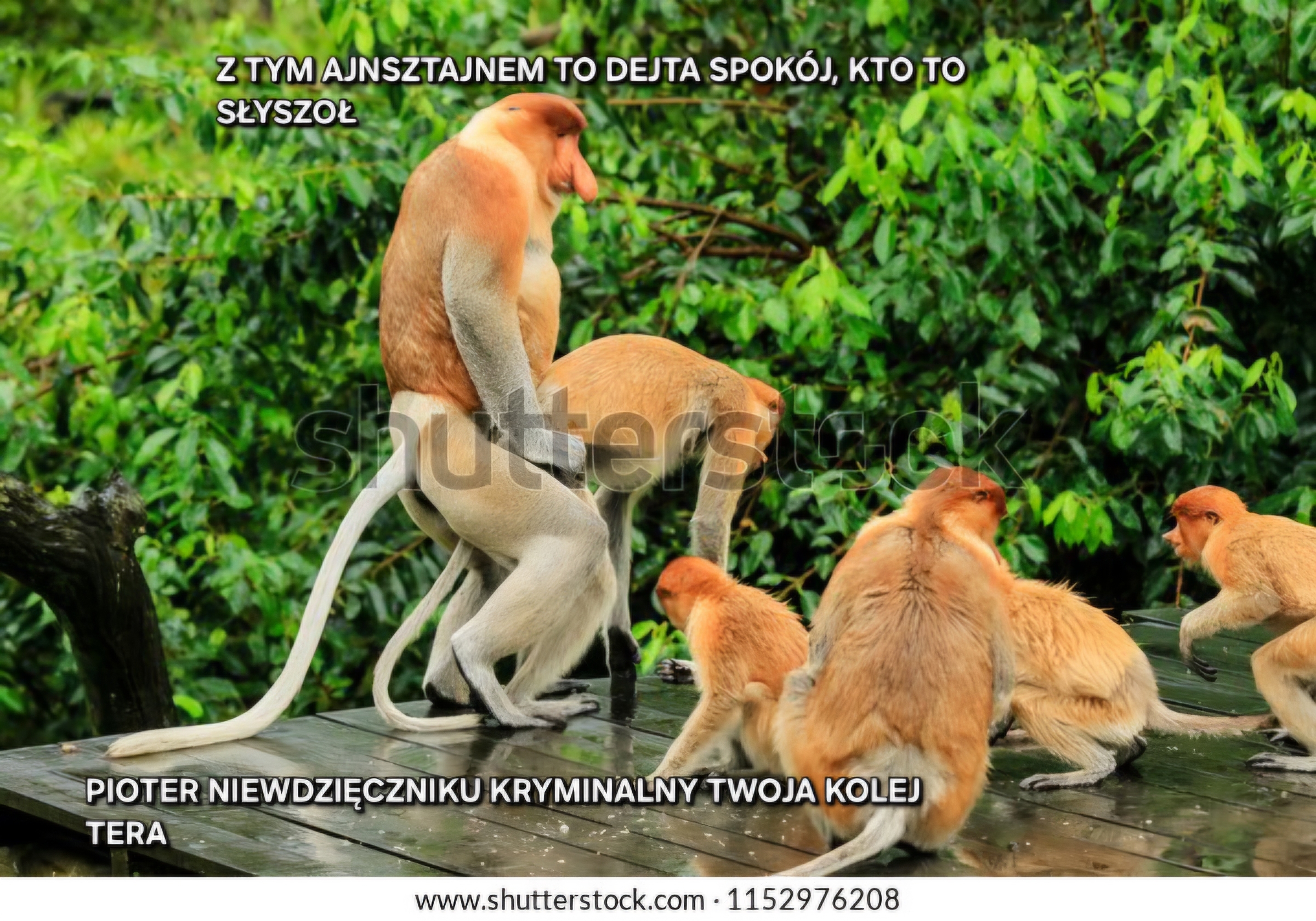 Dzieło sztuki #15128