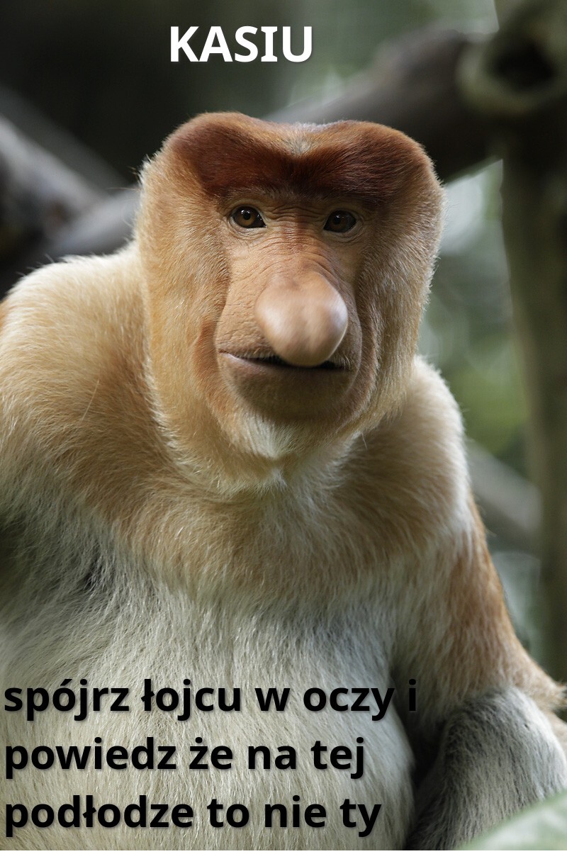 Dzieło sztuki #15132