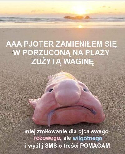 Dzieło sztuki #15143