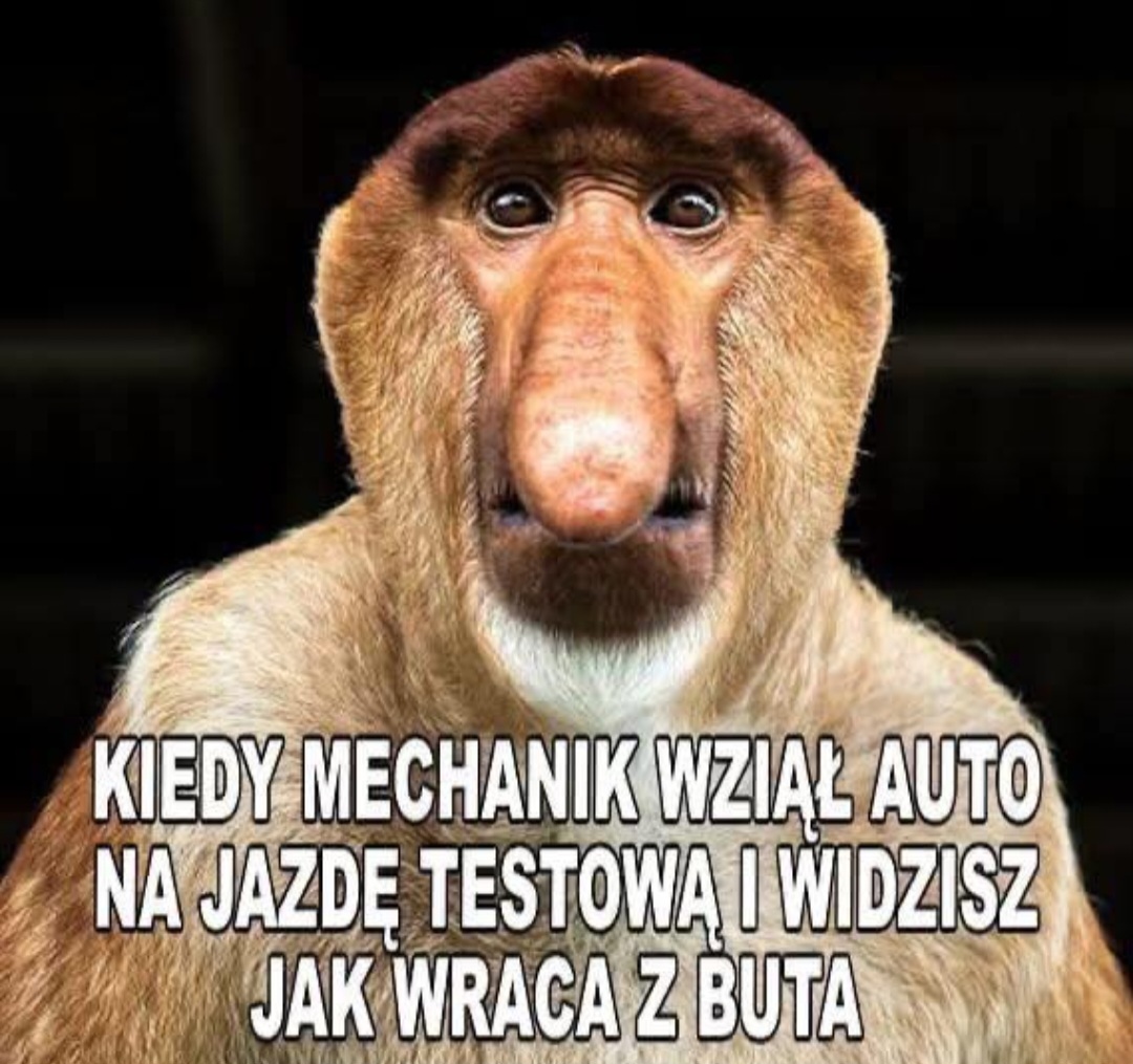 Dzieło sztuki #15151