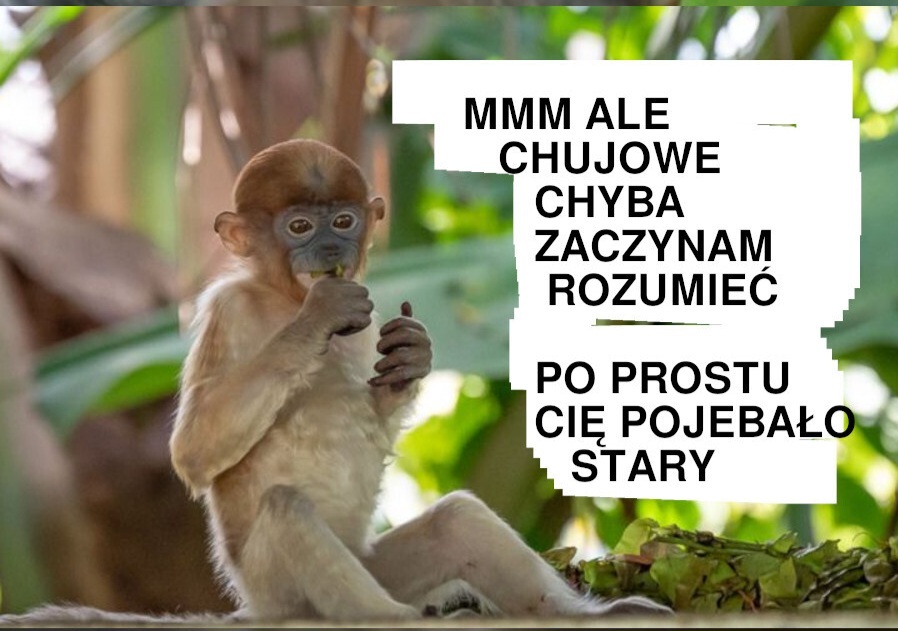 Dzieło sztuki #15160
