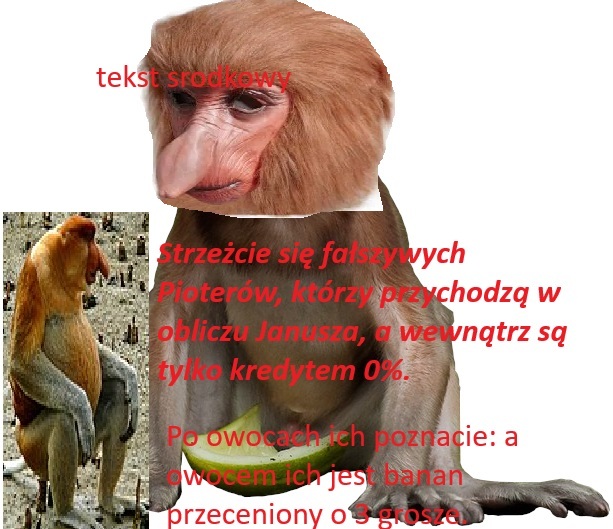 Dzieło sztuki #15181