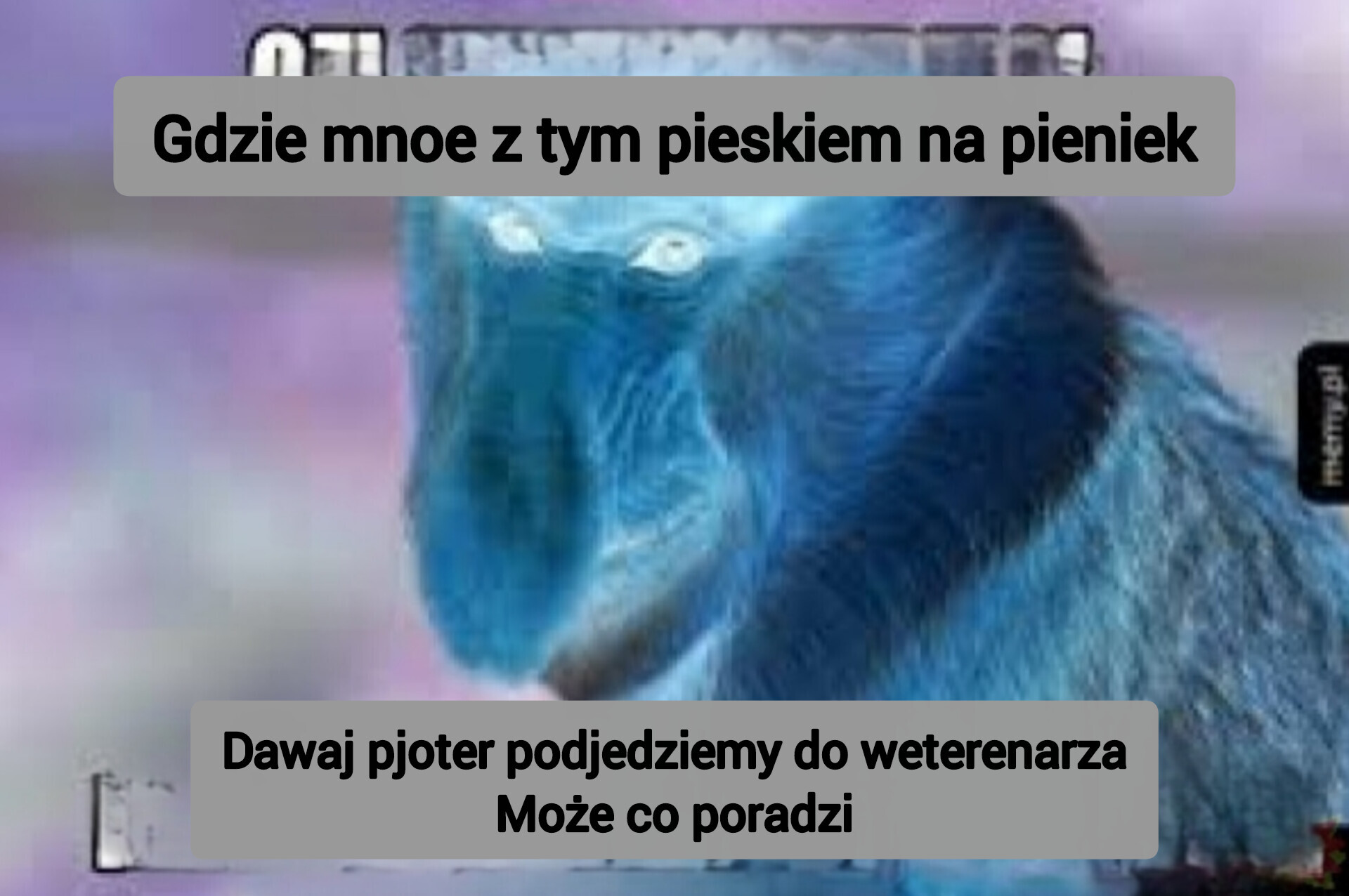 Dzieło sztuki #15183