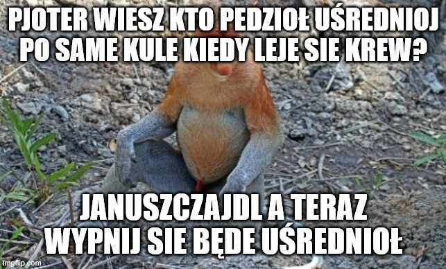 Dzieło sztuki #15197