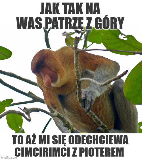 Dzieło sztuki #15201