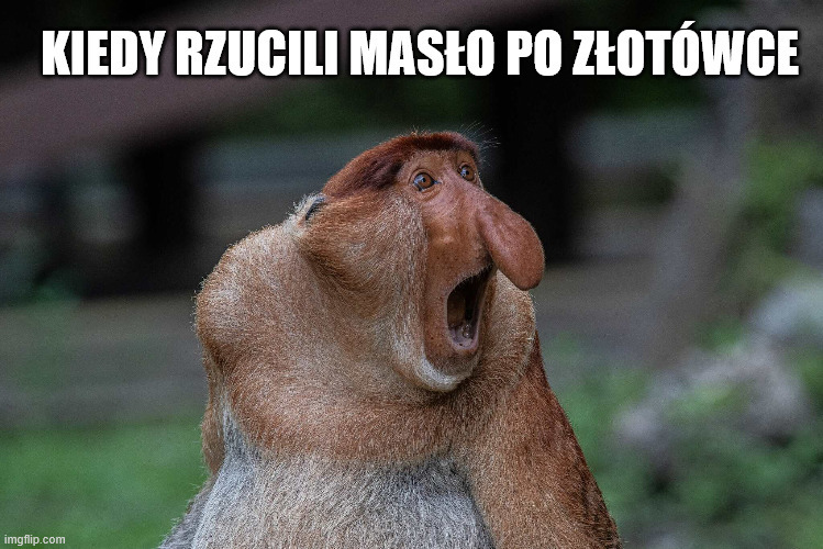 Dzieło sztuki #15243