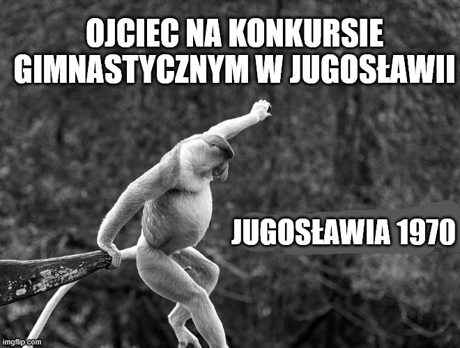 Dzieło sztuki #15244