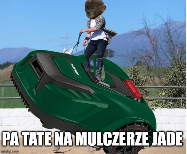 Dzieło sztuki #15283