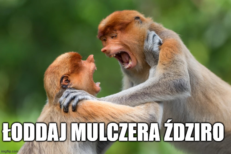 Dzieło sztuki #15287